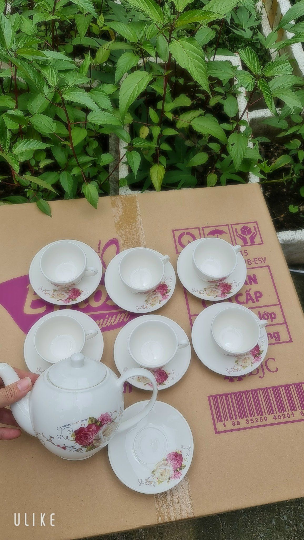 BỘ TÁCH TRÀ CAMELIA sứ Hàn Quốc